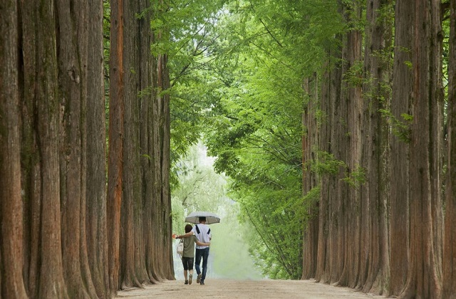 春川・南怡島公式シャトルバス搭乗券(ソウル出発)