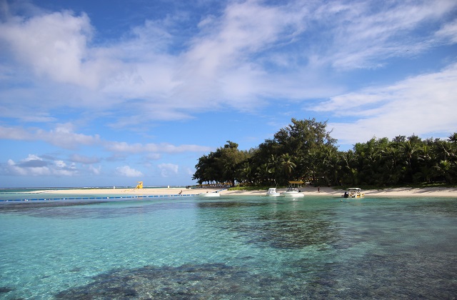 사이판 마나가하섬 거북이 스노클링 투어