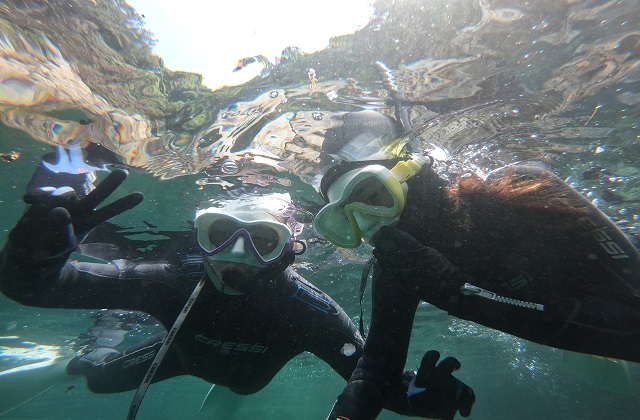 제주 전지역 스노클링 장비 대여