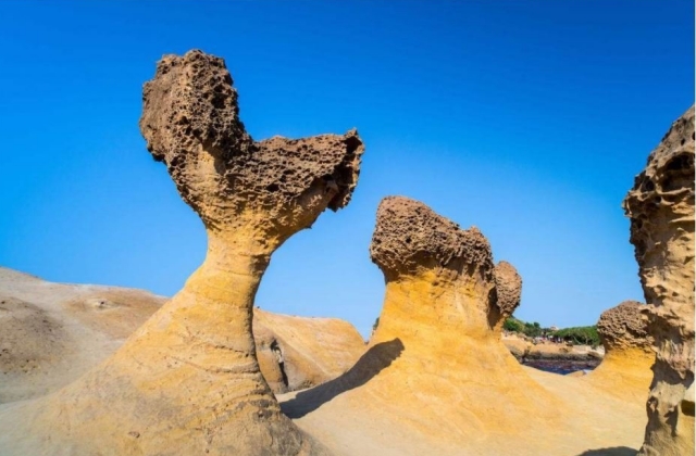 [착한투어] 대만 예지스 + 지우펀/스펀 야경 야시장 버스투어 - 오후 2시 출발