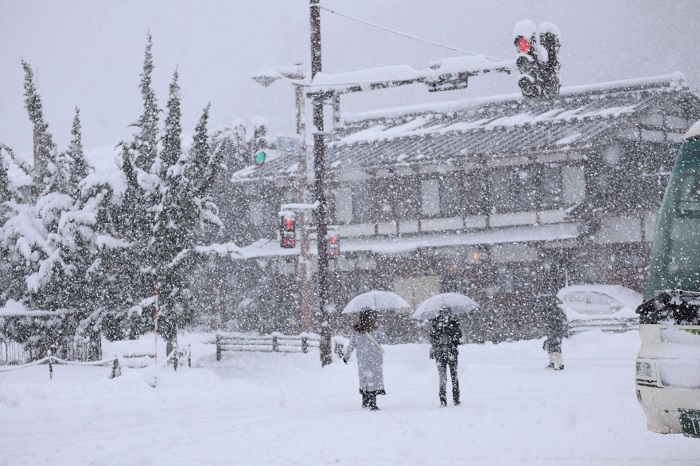 Nagoya Shirakawa-go & Takayama Bus Tour (Departure from Nagoya)