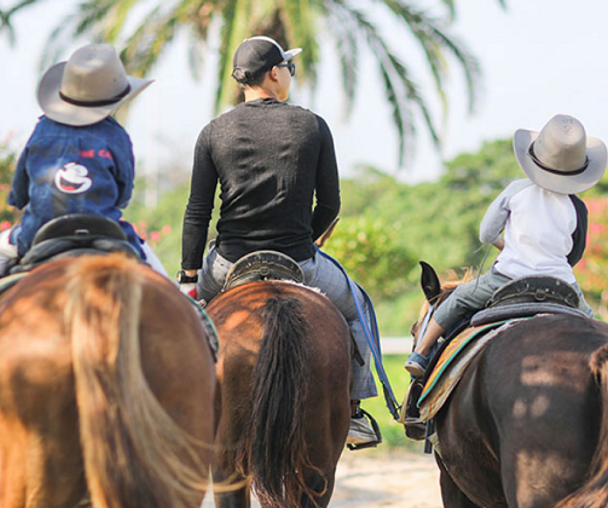 activity_detail_image