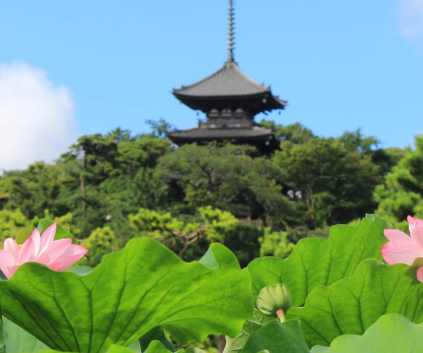 activity_detail_image