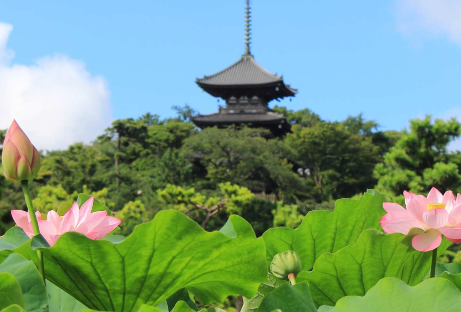 요코하마 산케이엔 정원 입장권