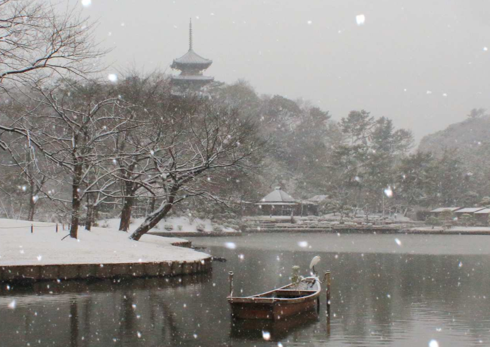 요코하마 산케이엔 정원 입장권