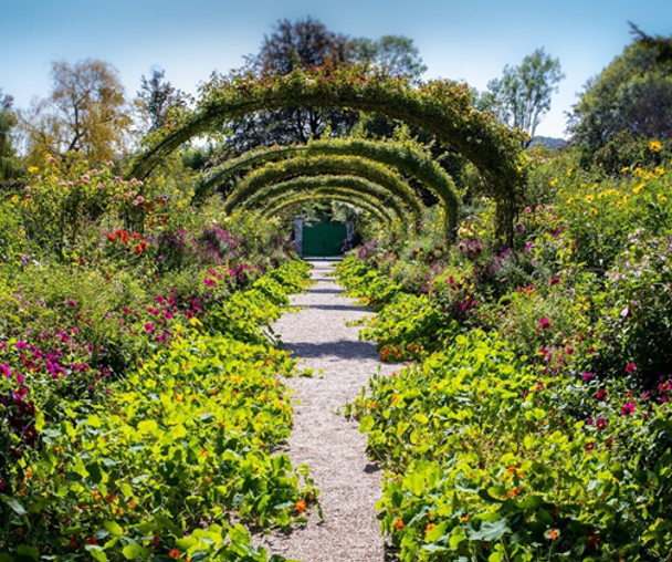 activity_detail_image