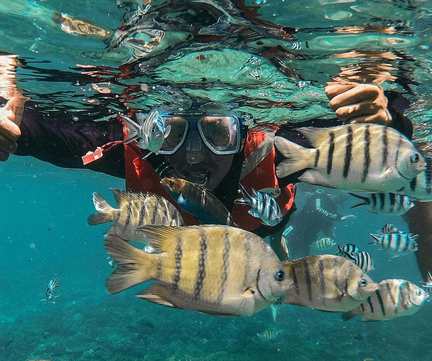 activity_detail_image