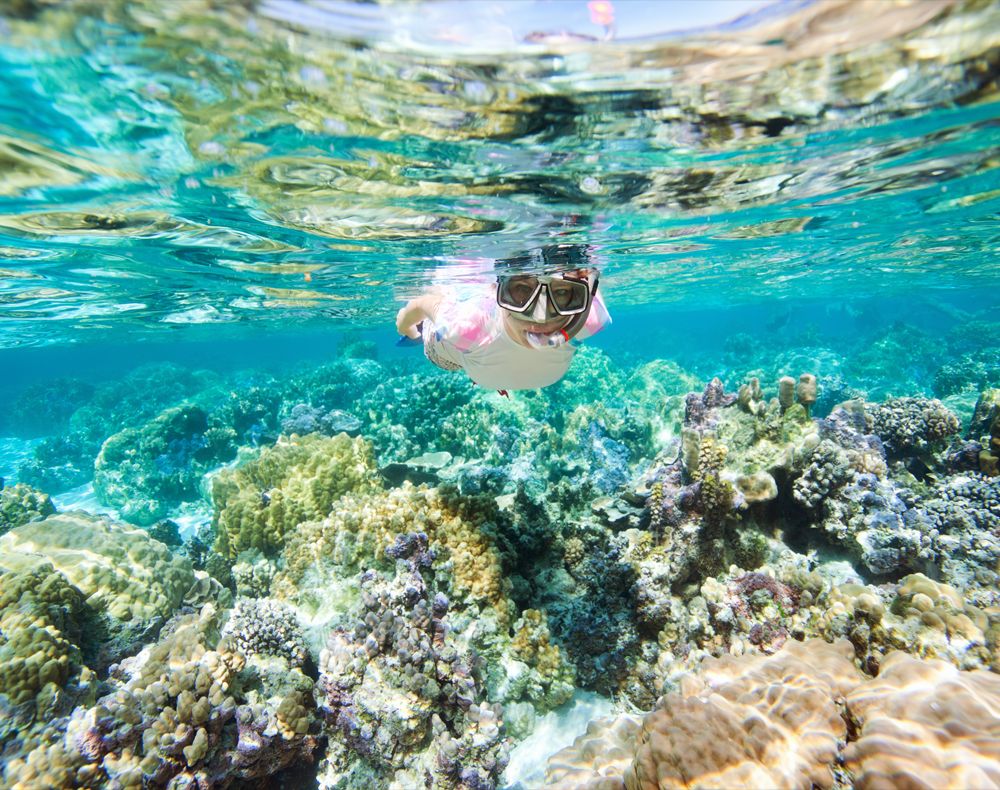 코타키나발루 마무틱 호핑 투어 & 보트 스노클링 (고프로 촬영 무료 서비스)