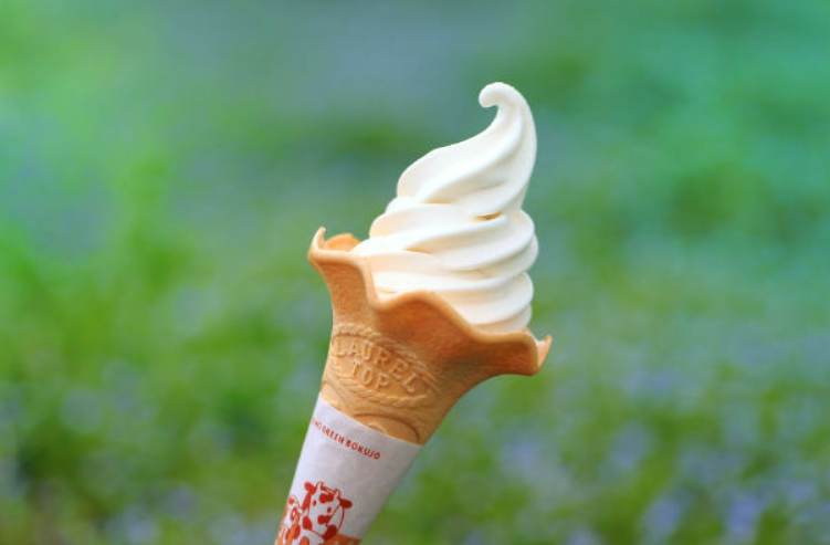 군마 이카호 그린 목장 동물 교감 체험 입장권