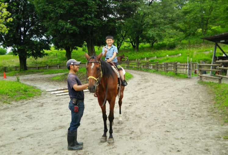 군마 이카호 그린 목장 동물 교감 체험 입장권