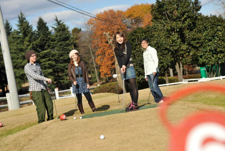군마 이카호 그린 목장 동물 교감 체험 입장권