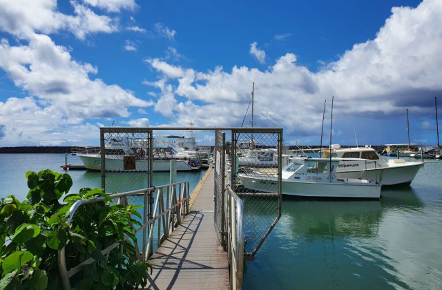 괌 파란 돌핀크루즈