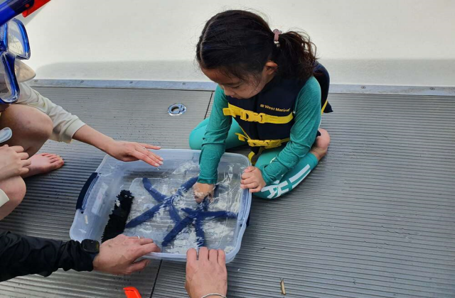 괌 파란 돌핀크루즈