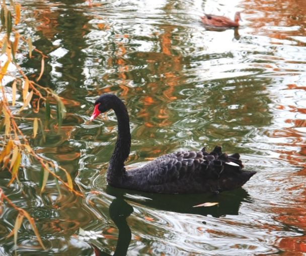 activity_detail_image