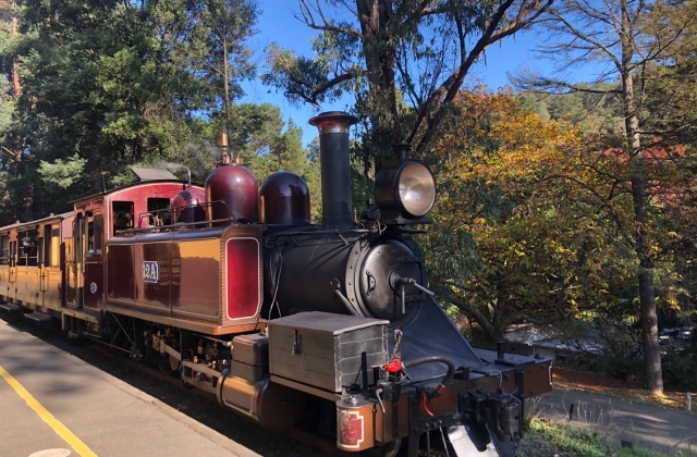 [오지나라] 사사프라스마을지나 호그와트로 퍼핑빌리 기차 투어