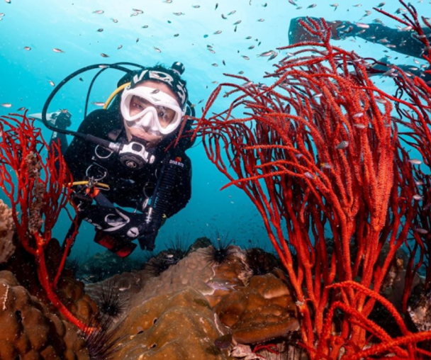 activity_detail_image