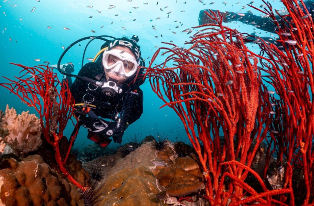 라용 힌픙(Hin peng) 펀다이빙, 체험다이빙, 프리다이빙 투어