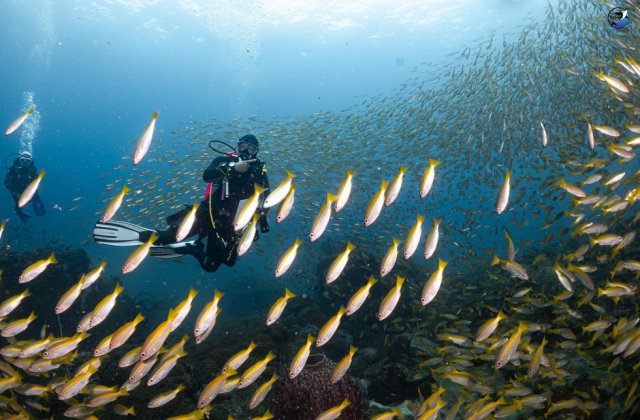 라용 힌픙(Hin peng) 펀다이빙, 체험다이빙, 프리다이빙 투어
