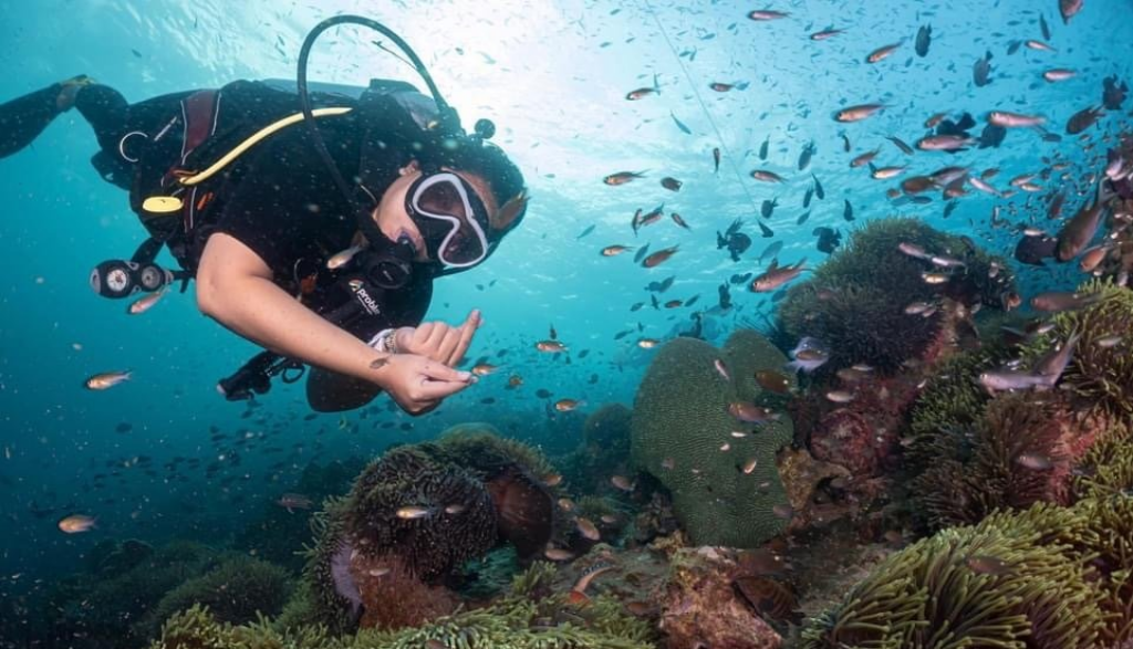 Rayong Hin Peng Scuba Diving, Experience Diving, Freediving Tour
