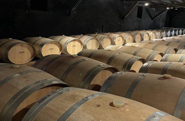 [이유투어] 아비뇽 출발: 베나스크 & 지공다스 론 와이너리 일일 투어