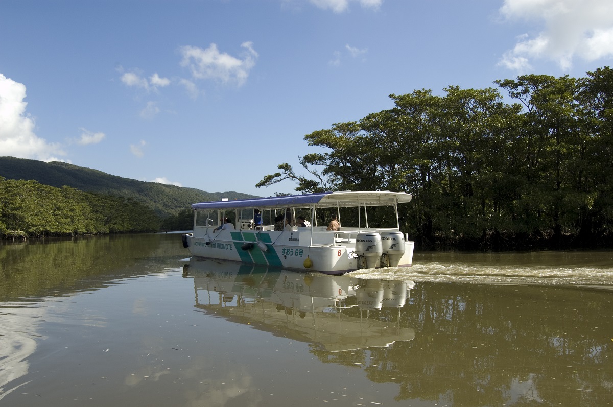 오키나와 이리오모테섬 & 유부섬 & 다케토미섬 투어 (점심 포함)