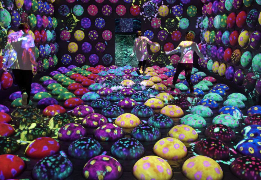 보스 이조 후쿠오카 팀랩 포레스트 입장권