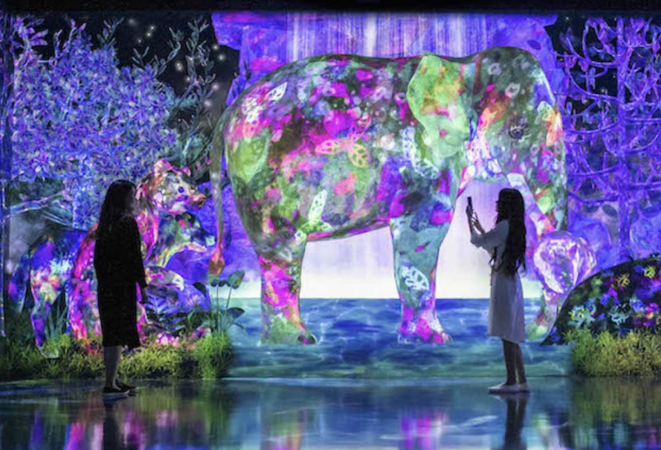 보스 이조 후쿠오카 팀랩 포레스트 입장권