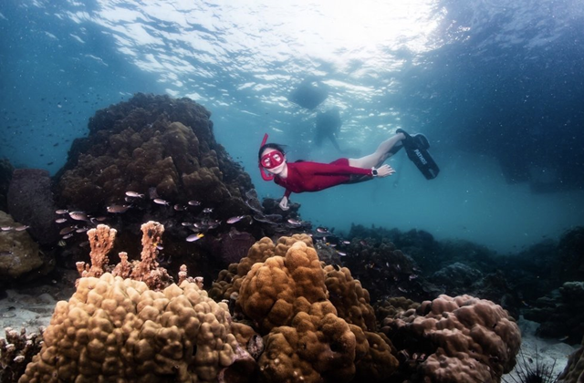 꼬캄, 꼬린, 꼬힌에서 즐기는 펀 다이빙 & 프리 다이빙 투어