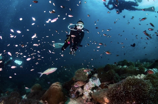 꼬캄, 꼬린, 꼬힌에서 즐기는 펀 다이빙 & 프리 다이빙 투어