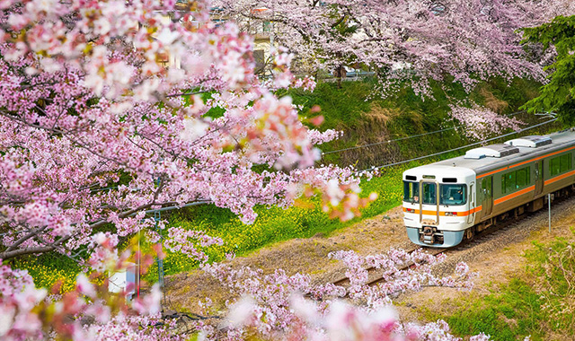 일본 JR 전국 패스 7/14/21일권 - 일본 기차 여행 필수템