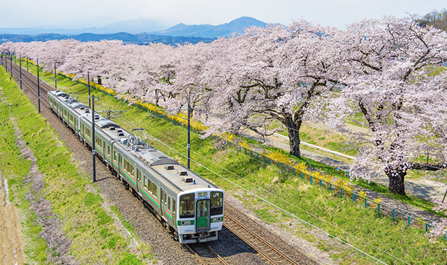 일본 JR 전국 패스 7/14/21일권 - 일본 기차 여행 필수템