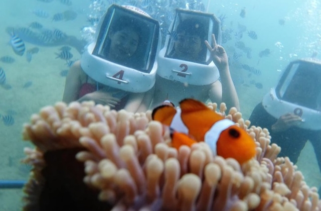 코타키나발루 사피섬 호핑 투어 패키지 (스노클링, 해양 액티비티)