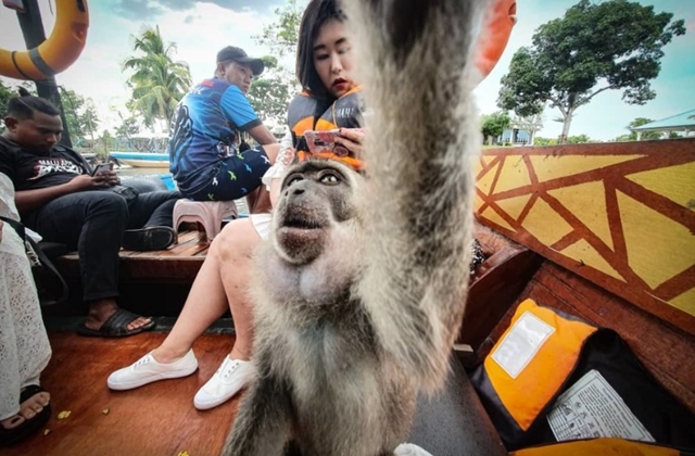코타키나발루 선셋 씨뷰 반딧불 투어 (스냅 촬영 / 공항 샌딩)