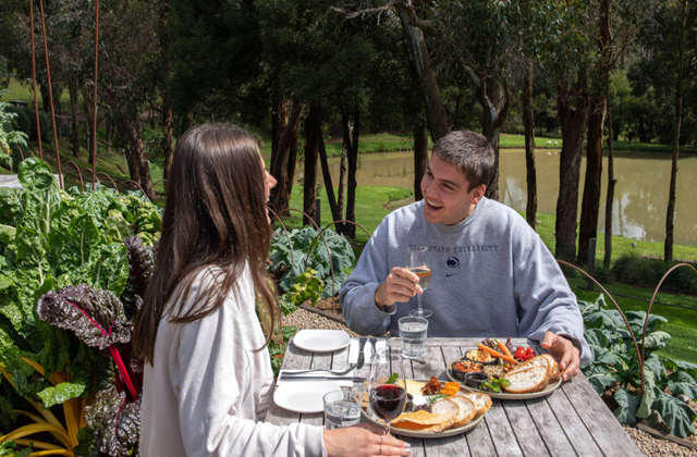 モーニントンペニンシュラ・グリーンオリーブアットレッドヒルランチセット(2名様)