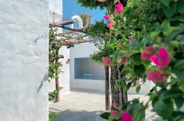 다낭 손트라 마리나 & 3D 박물관 & 시내 단독 투어