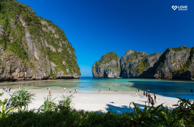 푸켓 피피섬, 마야섬, 뱀부섬 일일 스노클링 투어
