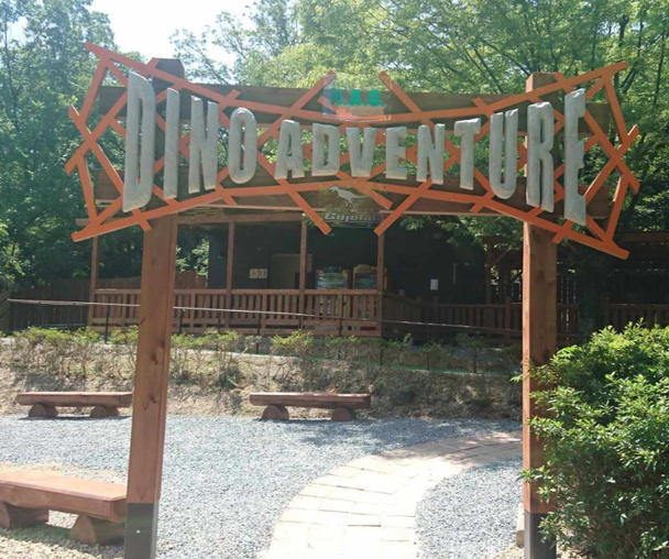 activity_detail_image