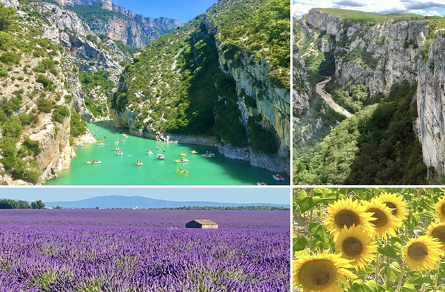 [공식 차량투어] 니스 출발: 남프랑스 베르동 협곡, 무스띠에, 발렁솔르 라벤더 투어