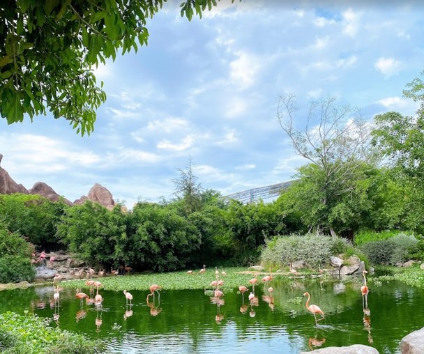 activity_detail_image