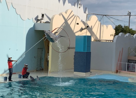 단독 차량으로 떠나는 고베 & 오사카 원데이 투어