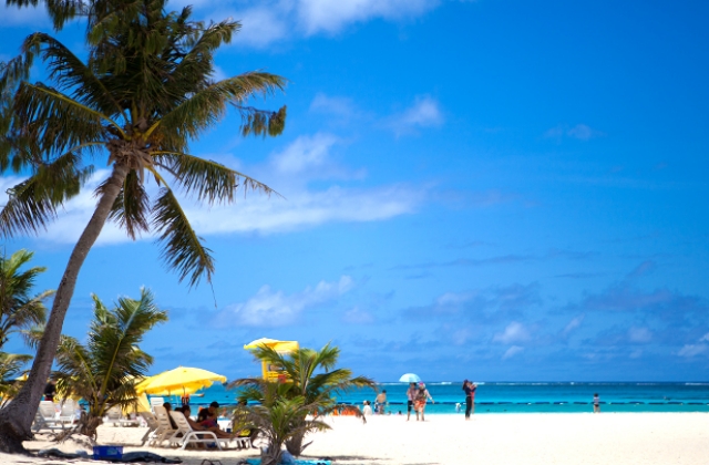 사이판 환상의 마나가하섬 & 패러세일링 투어