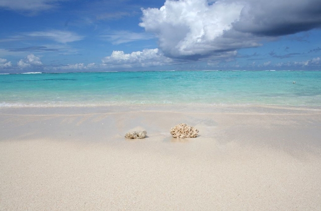 사이판 환상의 마나가하섬 & 패러세일링 투어