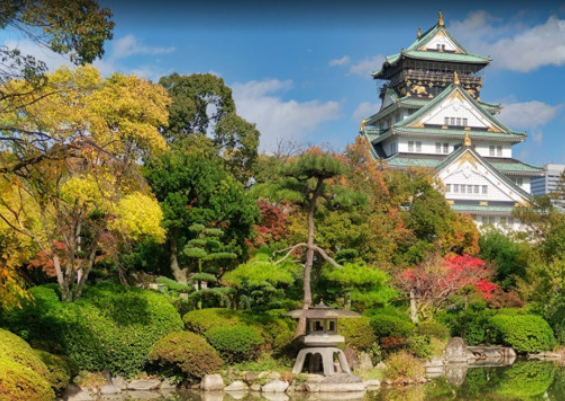 activity_detail_image