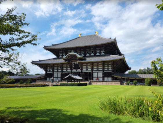 단독 차량으로 떠나는 나라 & 오사카 원데이 투어