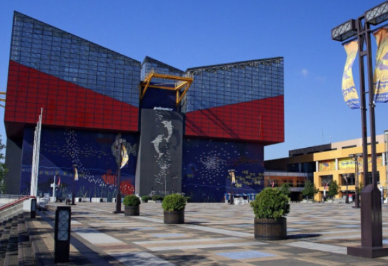 activity_detail_image