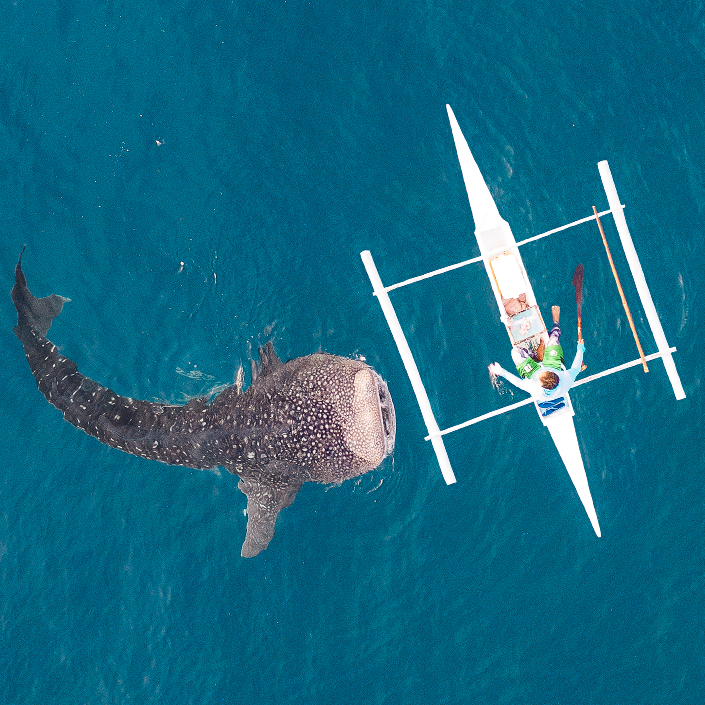 [피크데이] 세부 오캐팩 패키지 (오슬롭 + 투말록 + 캐녀닝)