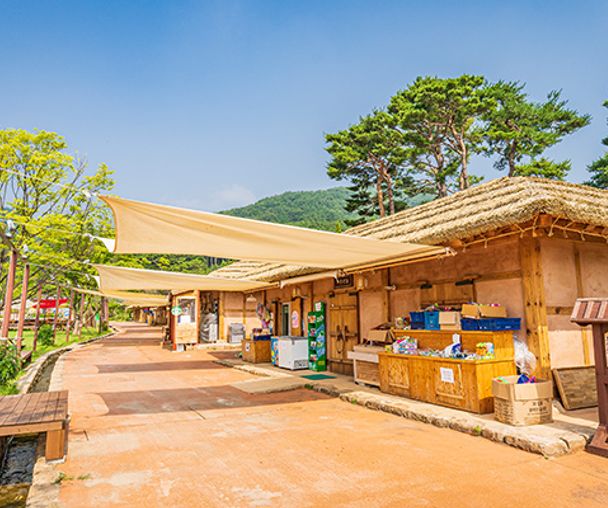 activity_detail_image