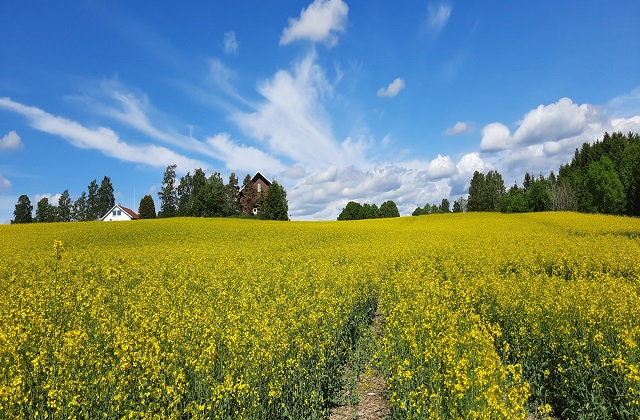 오슬로 노르마카 숲 하이킹 투어 (반일/전일)