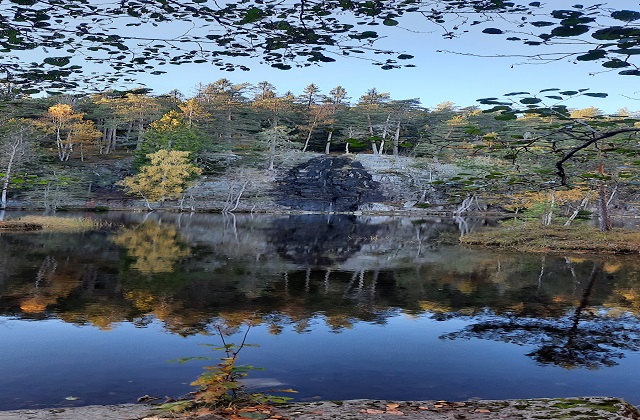 오슬로 노르마카 숲 하이킹 투어 (반일/전일)