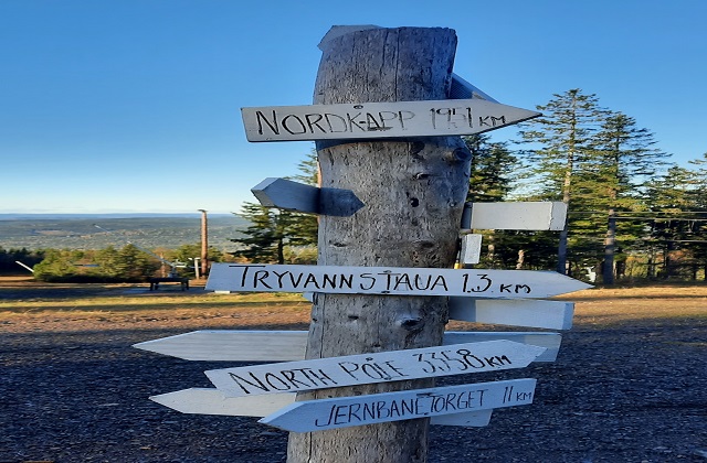 오슬로 노르마카 숲 하이킹 투어 (반일/전일)